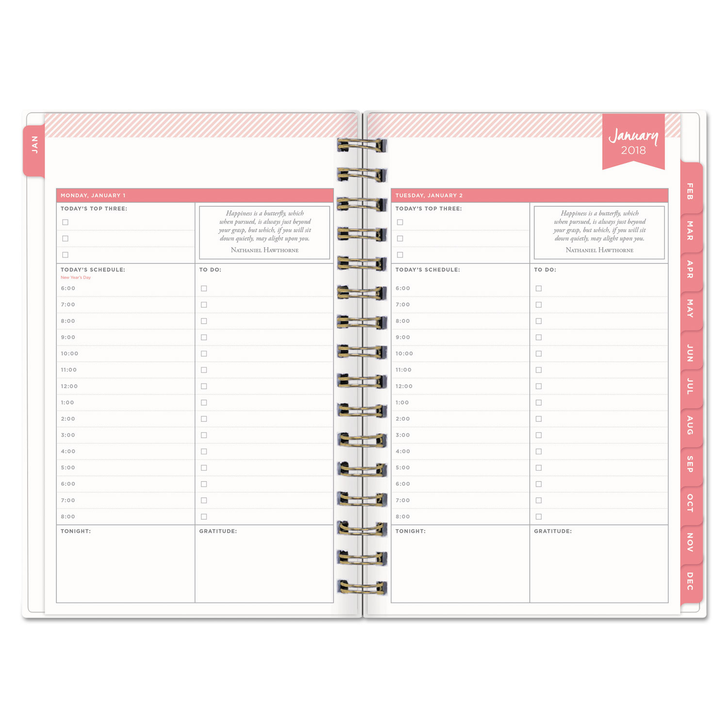 Day Designer Daily Monthly Planner By Blue Sky BLS103623 