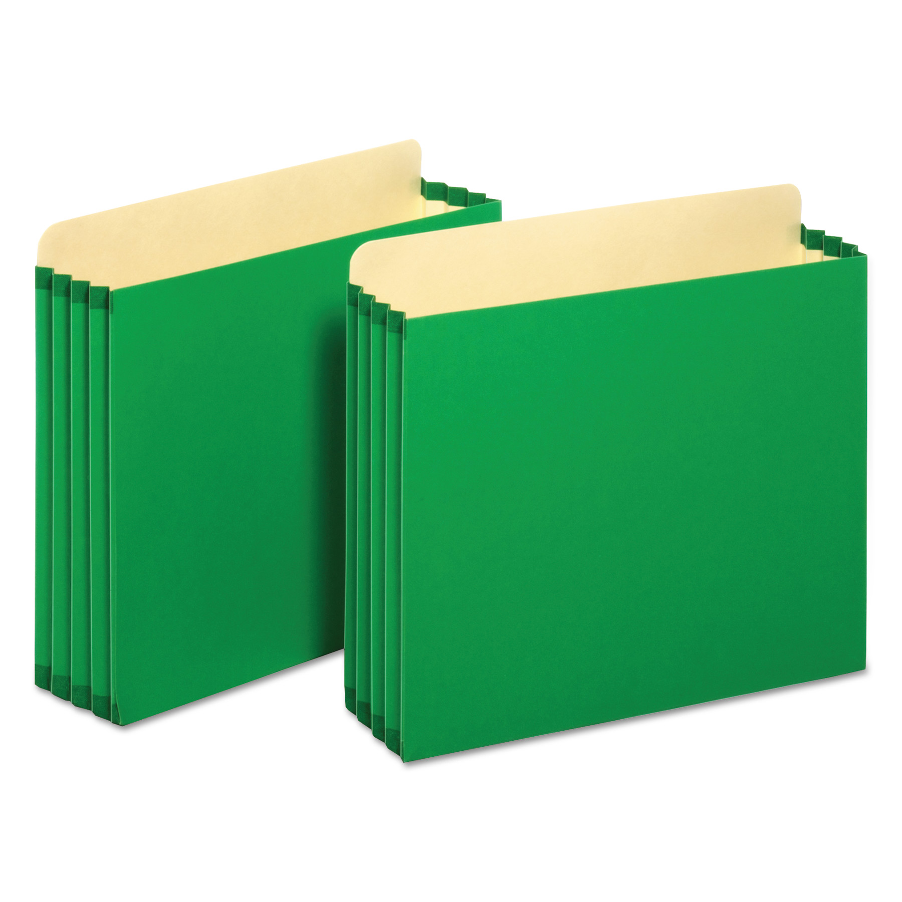  Pendaflex FC1524P GRE File Cabinet Pockets, 3.5 Expansion, Letter Size, Green, 10/Box (PFXFC1524PGRE) 
