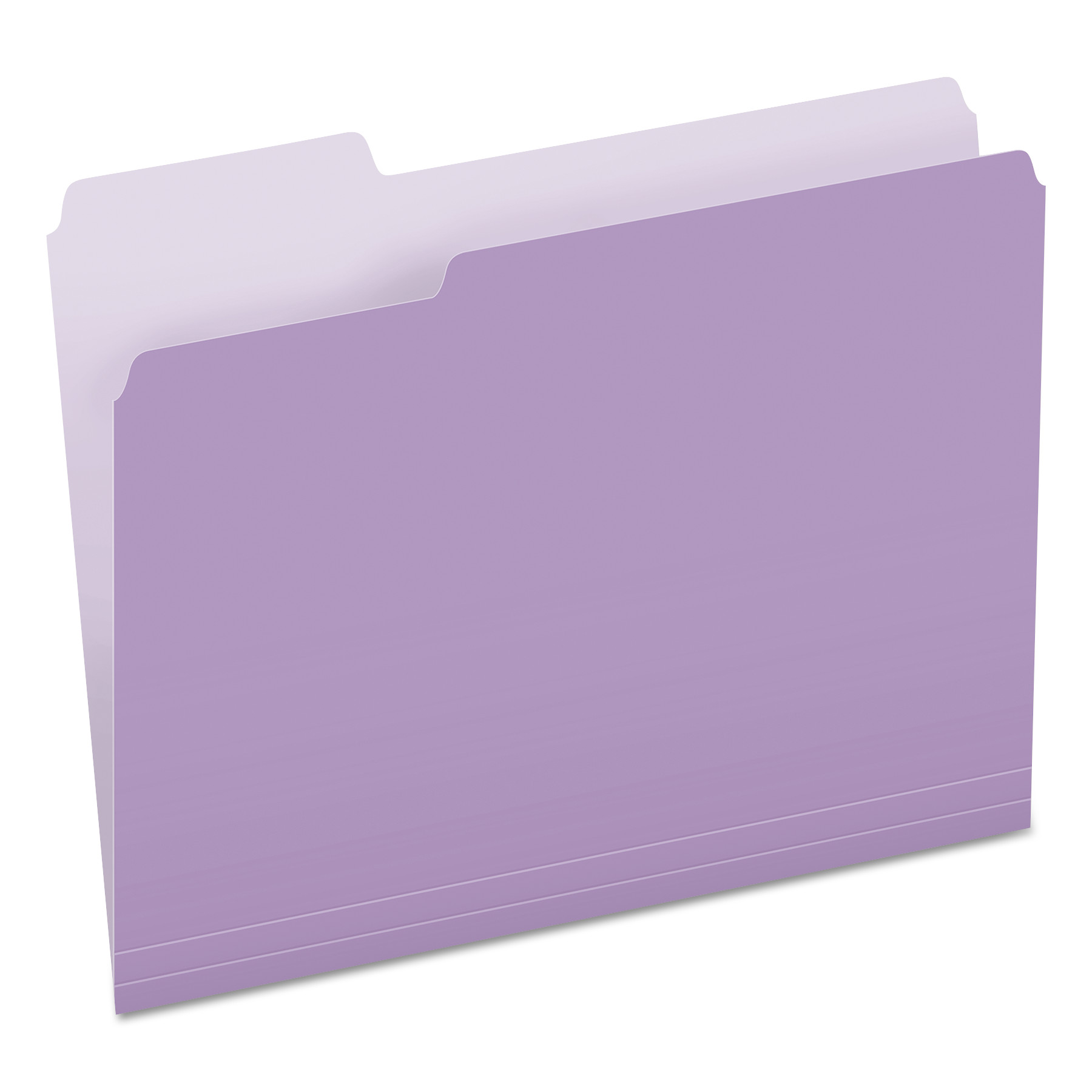 1/3 Cut Letter Size 5 Colors Set of 5 Pendaflex Two-Tone Color File Folders