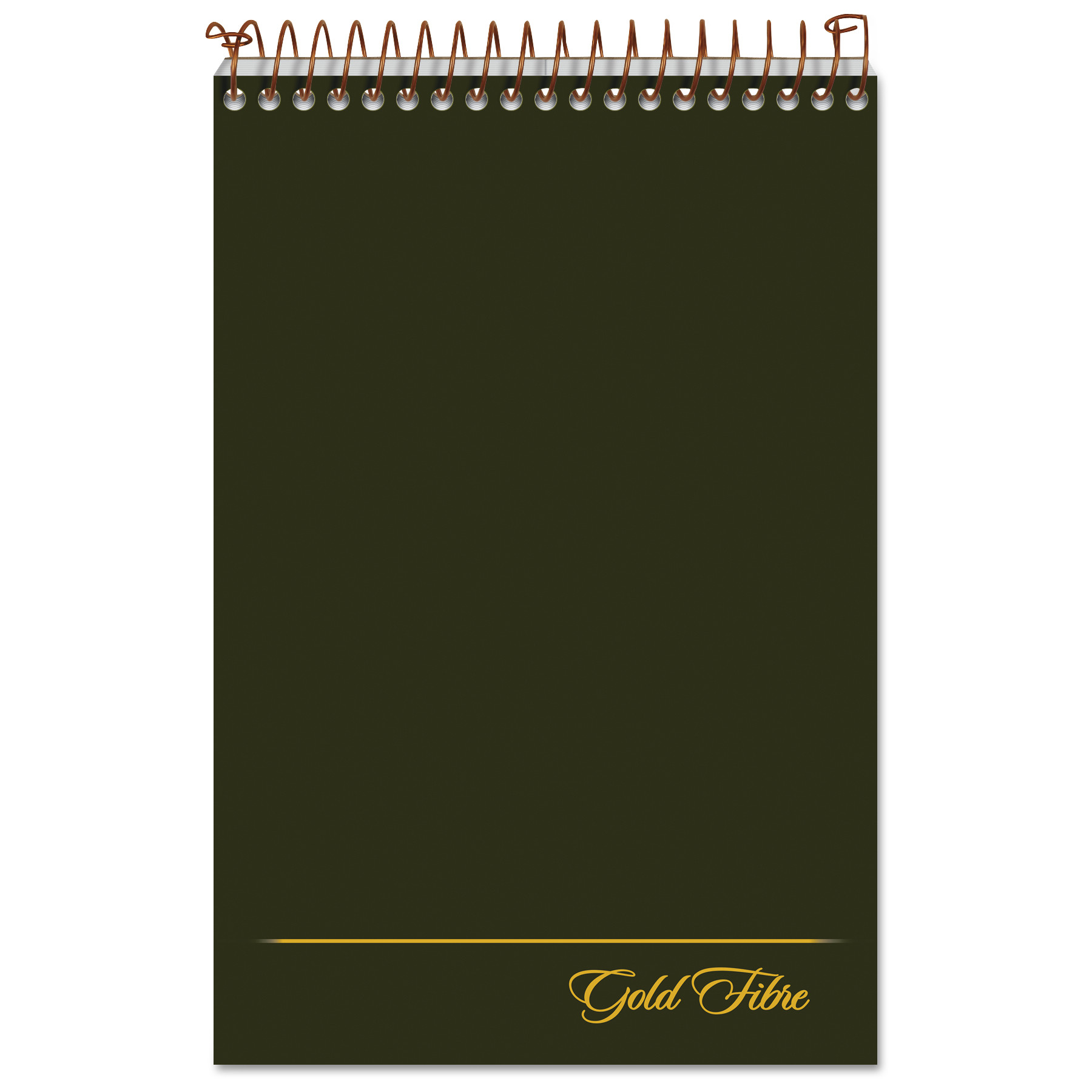  Ampad 20-806R Gold Fibre Steno Books, Gregg Rule, Green Cover, 6 x 9, 100 White Sheets (TOP20806) 
