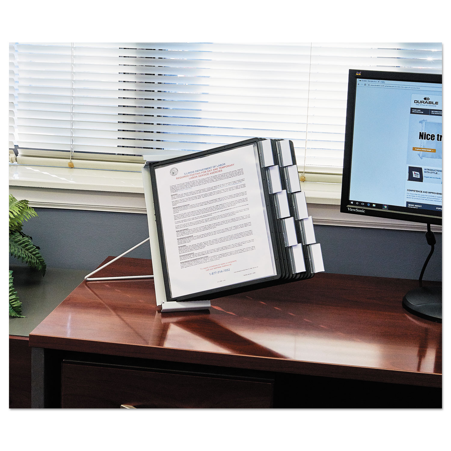 DBL561201 Durable InstaView Expandable Desktop Reference System Zuma