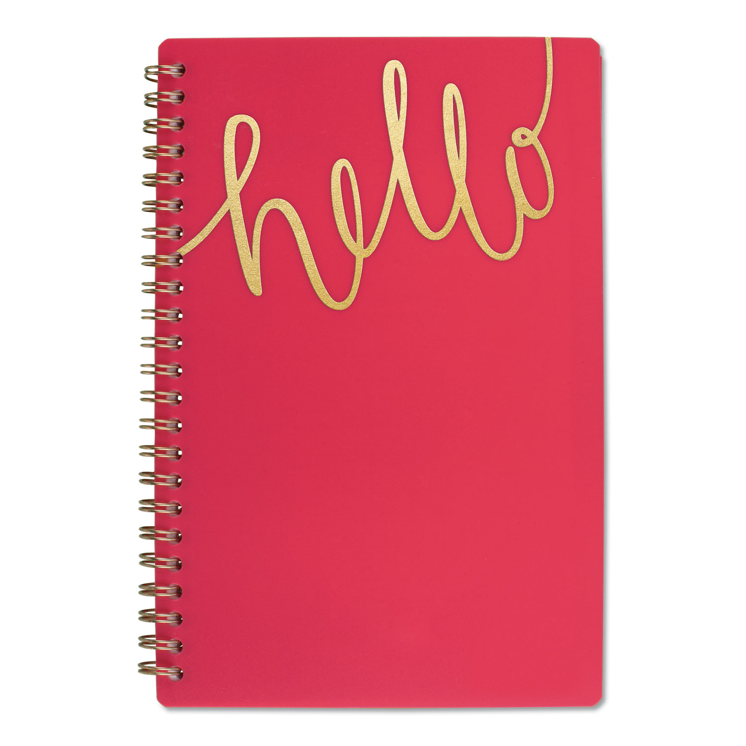  AT-A-GLANCE 1022200A27 Aspire Academic Planner, 8 x 5 1/2, Coral/Gold, 2019-2020 (AAG1022200A27) 