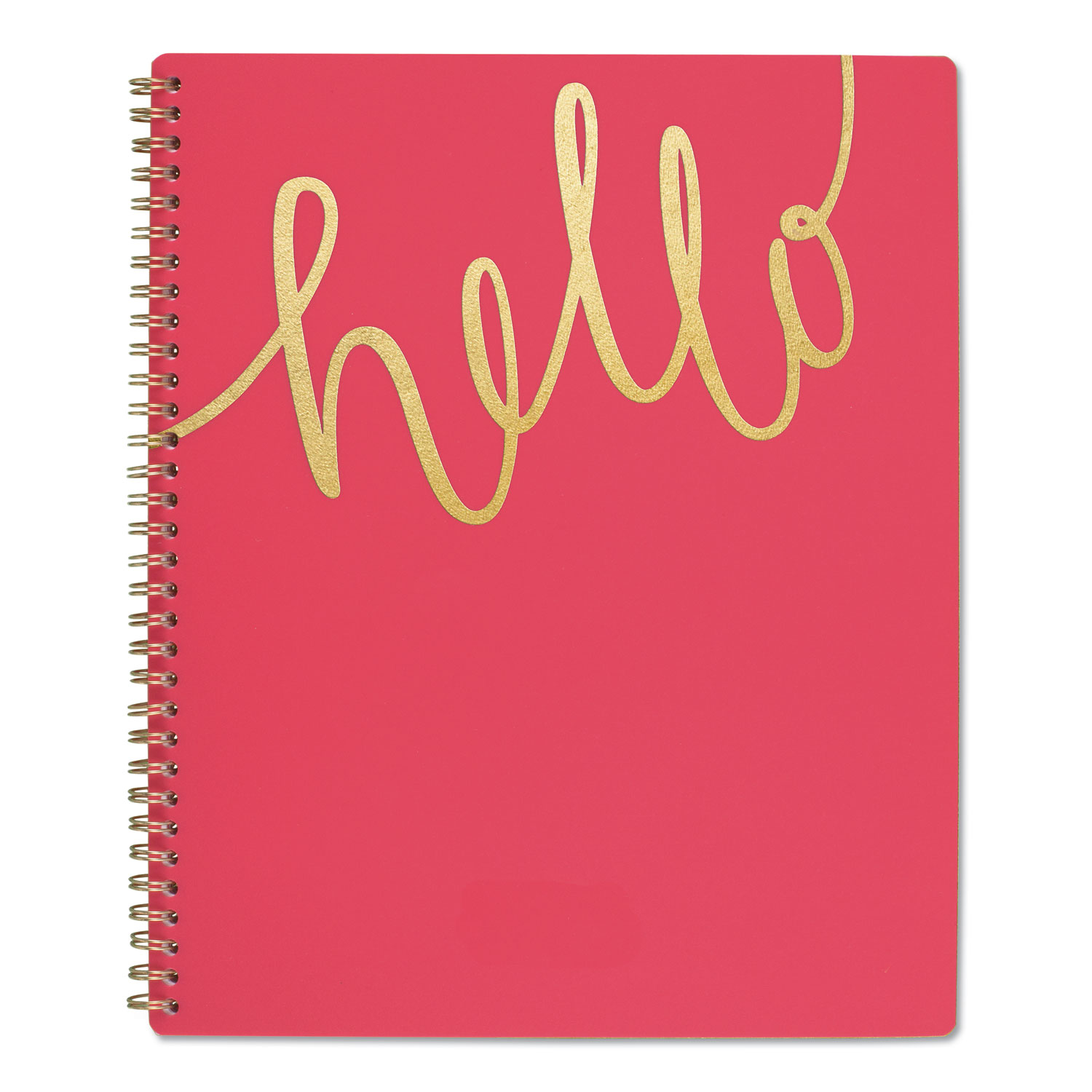  AT-A-GLANCE 1022905A27 Aspire Academic Planner, 11 x 8 1/2, Coral/Gold, 2019-2020 (AAG1022905A27) 