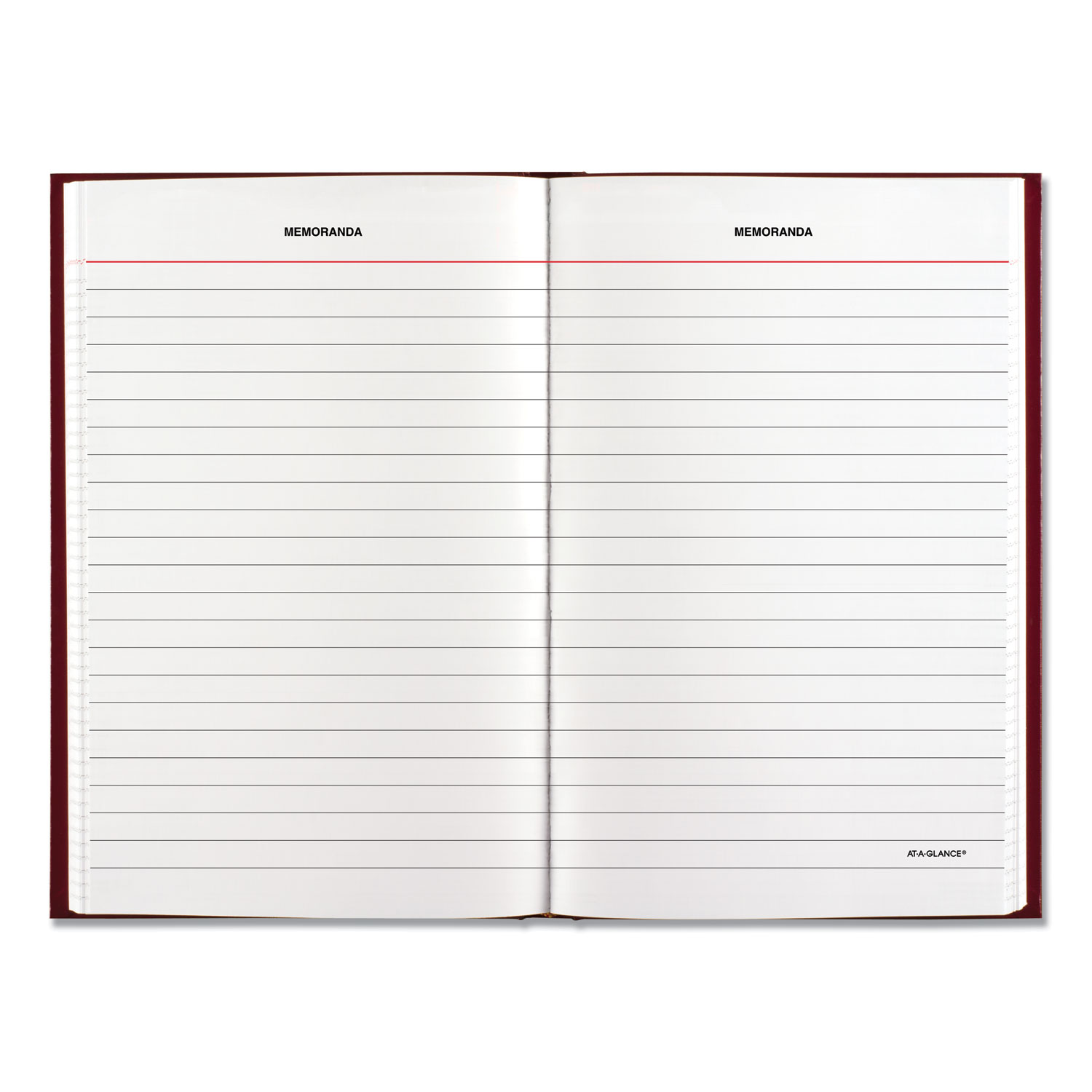 Standard Diary Recycled Daily Reminder, Red, 6 5/8 x 4 1/8, 2020