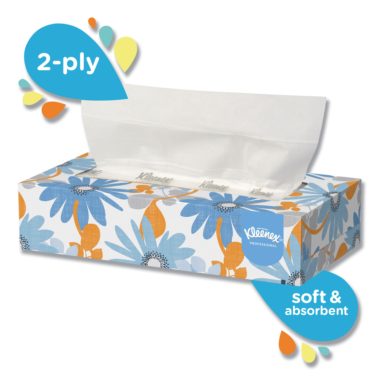 White Facial Tissue, 2-Ply, 100 Tissues/Box, 5 Boxes/Pack, 6 Packs/Carton