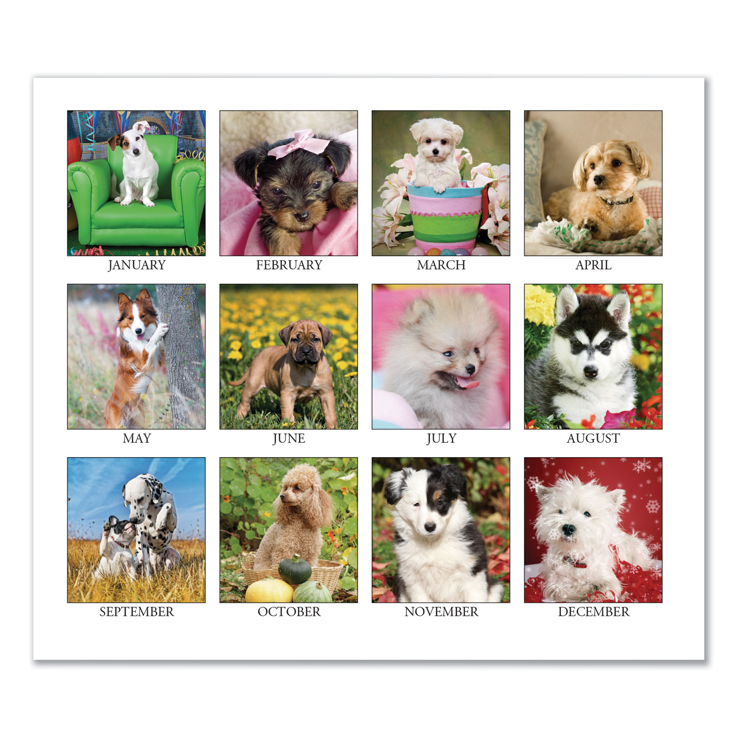 Recycled Puppy Photos Desk Tent Monthly Calendar, 8 1/2 x 4 1/2, 2020