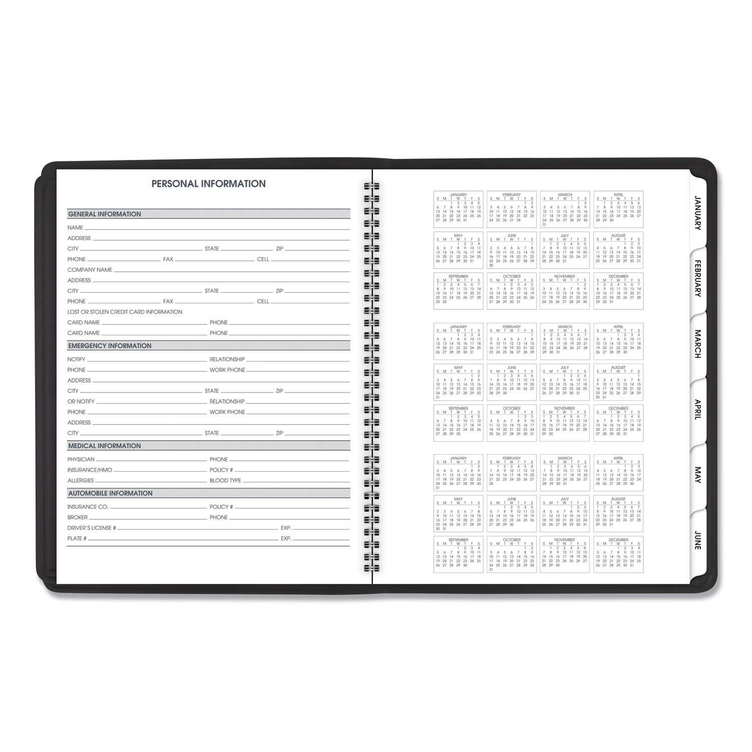 Triple View Weekly/Monthly Appointment Book, 10 7/8 x 8 1/4, Black, 2020
