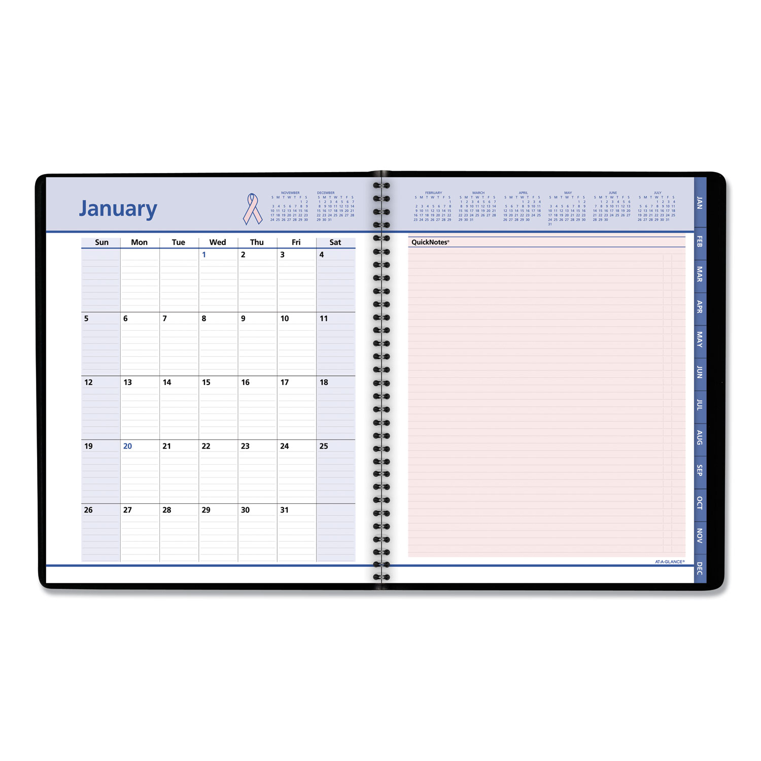 QuickNotes Weekly/Monthly Appointment Book, 9 7/8 x 8, Black/Pink, 2020