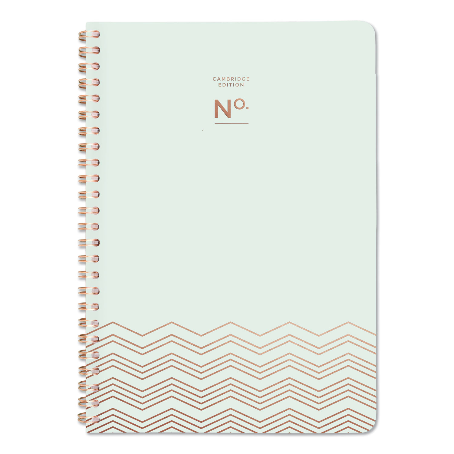  Cambridge 528020046 Workstyle Soft Cover Weekly/Monthly Planner 8 1/2 x 5 1/2, Seafoam Cover, 2020 (AAG528020046) 