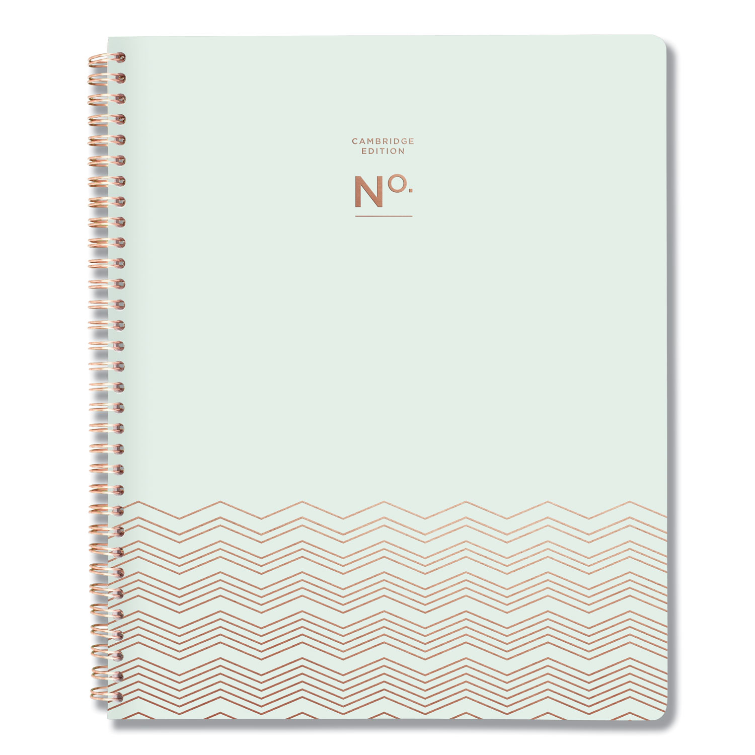  Cambridge 528090546 Workstyle Soft Cover Weekly/Monthly Planner, 11 x 8 1/2 Seafoam Cover, 2020 (AAG528090546) 