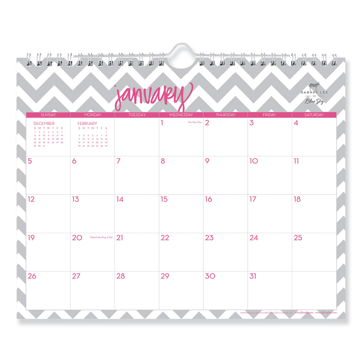 Dabney Lee Ollie Wirebound Wall Calendar, Gray/Pink, 11 x 8 3/4, 2020