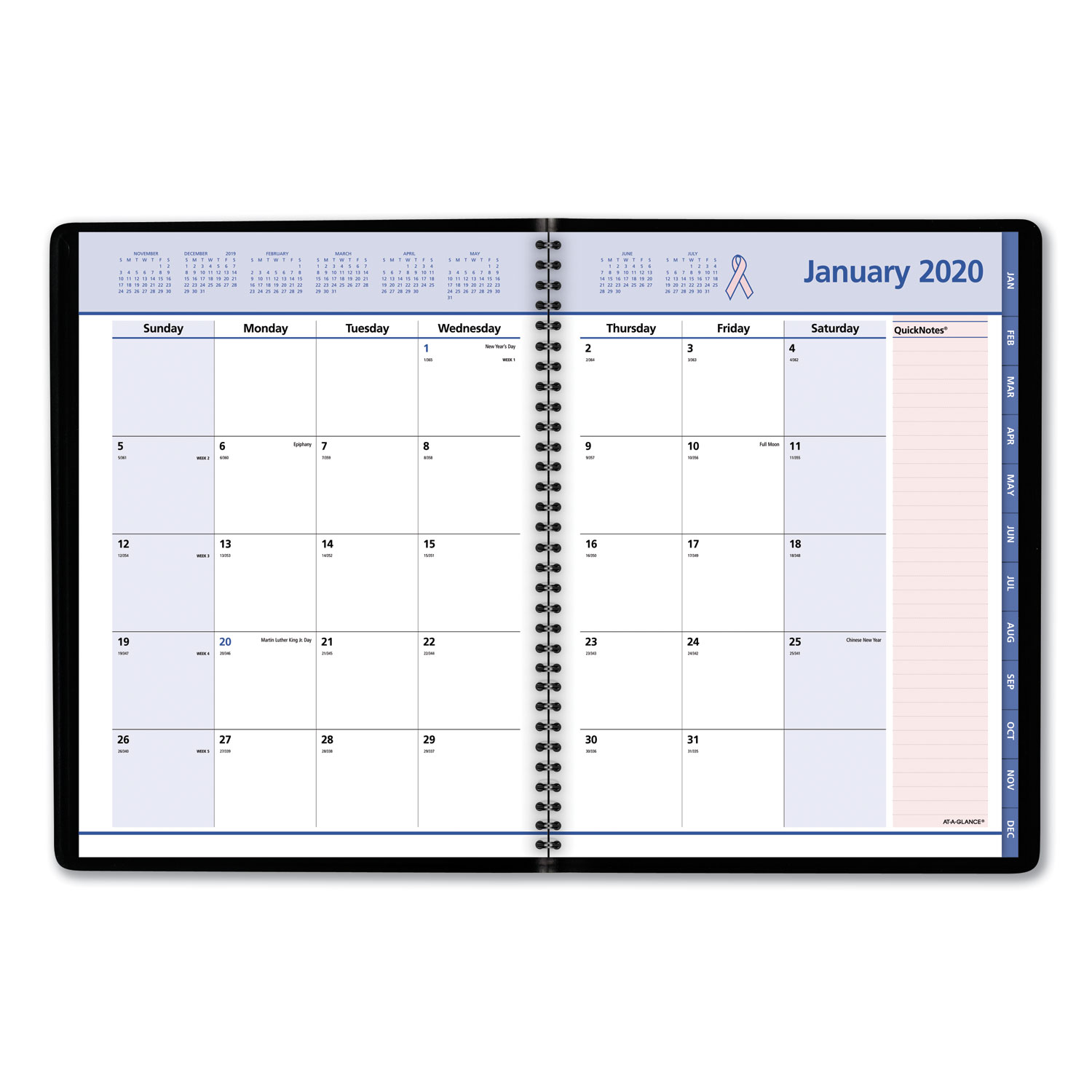 QuickNotes Special Edition Monthly Planner, 10 7/8 x 8 1/4, Black/Pink, 2020