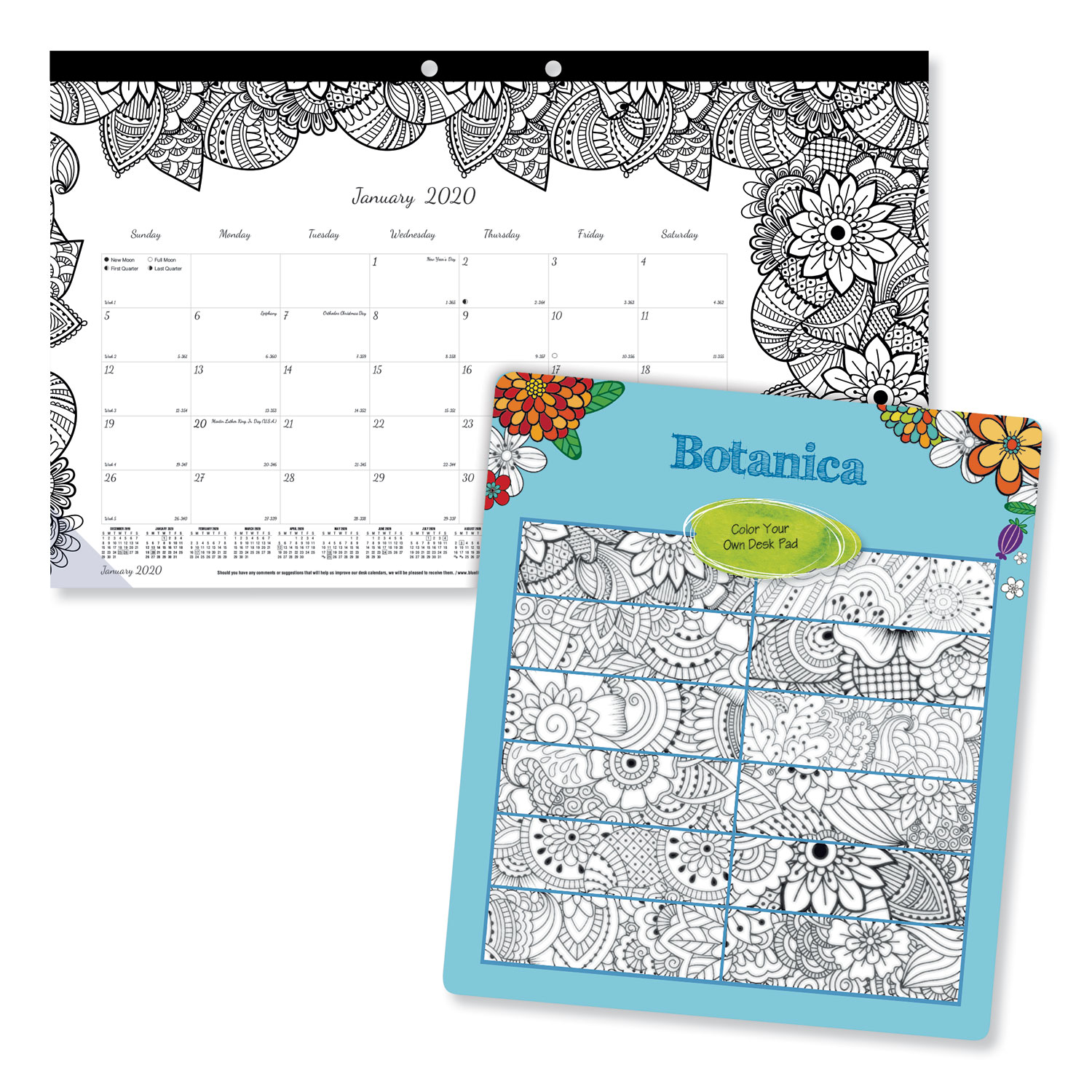  Blueline C2917001 DoodlePlan Desk Calendar w/Coloring Pages, 17 3/4 x 10 7/8, 2020 (REDC2917001) 