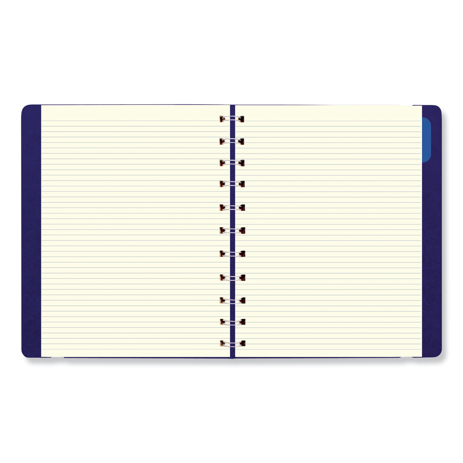 Monthly Planner, 10 3/4 x 8 1/2, Blue, 2019-2020