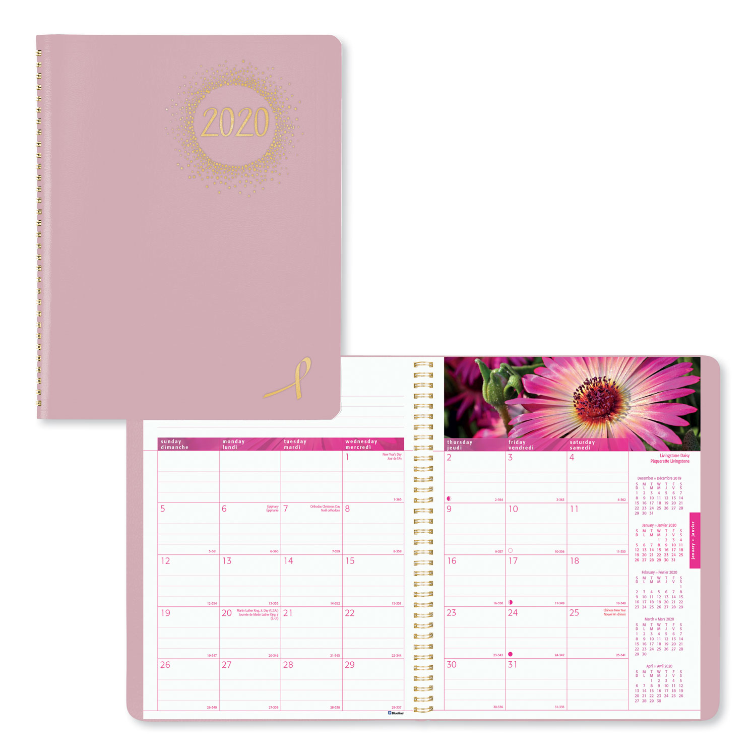  Brownline CB1219.PNK Pink Ribbon Monthly Planner, 8 7/8 x 7 1/8, Pink, 2020 (REDCB1219PNK) 