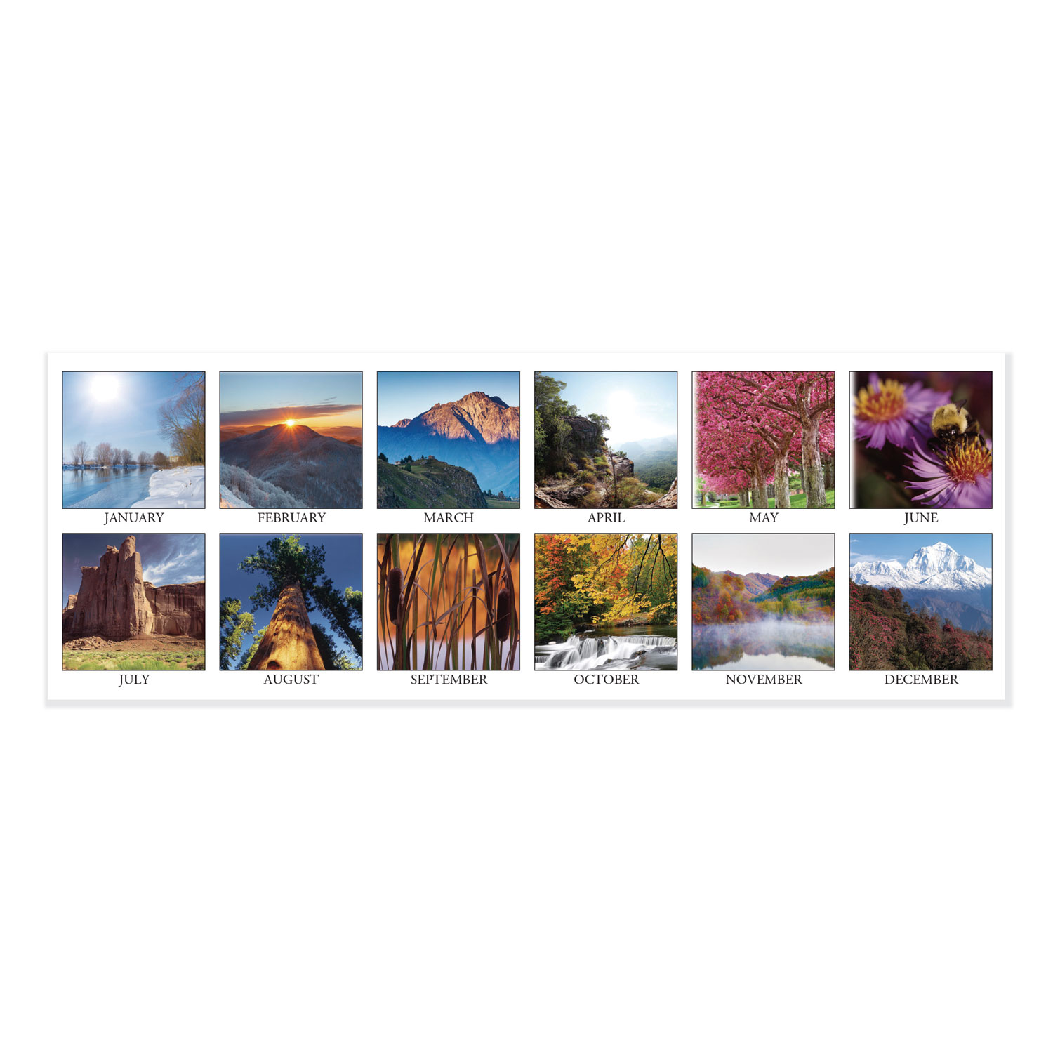 Recycled Scenic Photos Desk Tent Monthly Calendar, 8 1/2 x 4 1/2, 2020