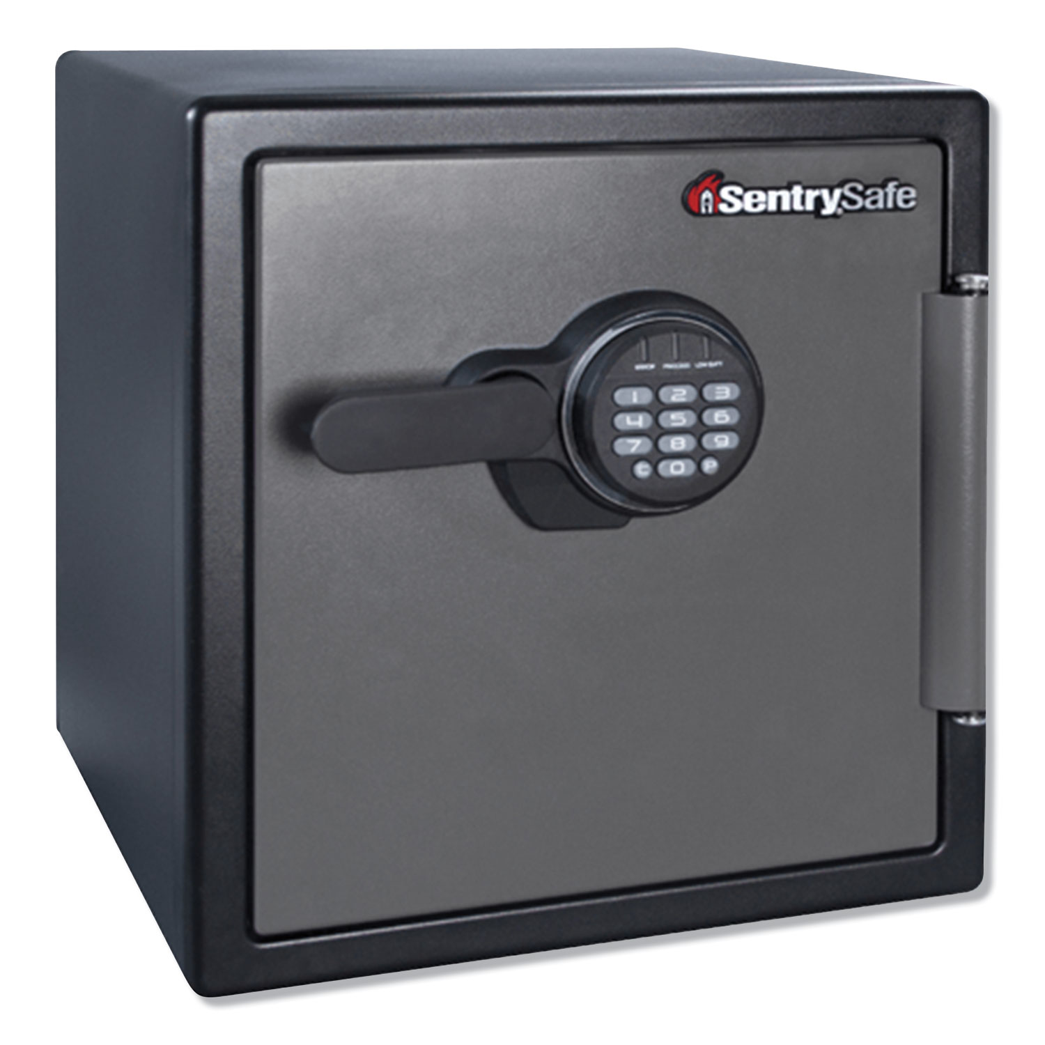  Sentry Safe SFW123ES Fire-Safe with Digital Keypad Access, 1.23 cu ft, 16.38w x 19.38d x 17.88h, Gunmetal (SENSFW123ES) 