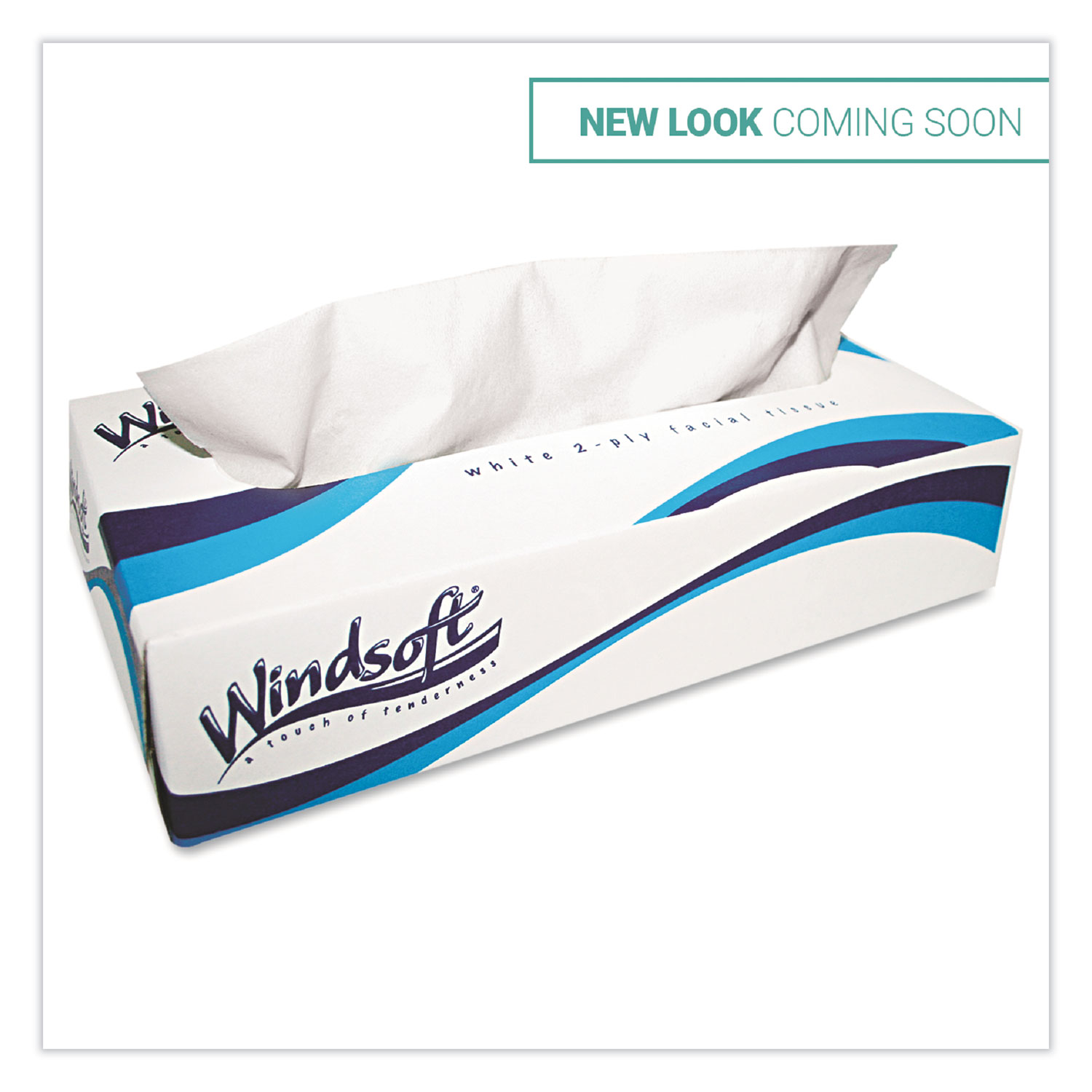  Windsoft WIN2430 Facial Tissue, 2 Ply, White, Pop-Up Box, 100 Sheets/Box, 6 Boxes/Pack (WIN2430) 