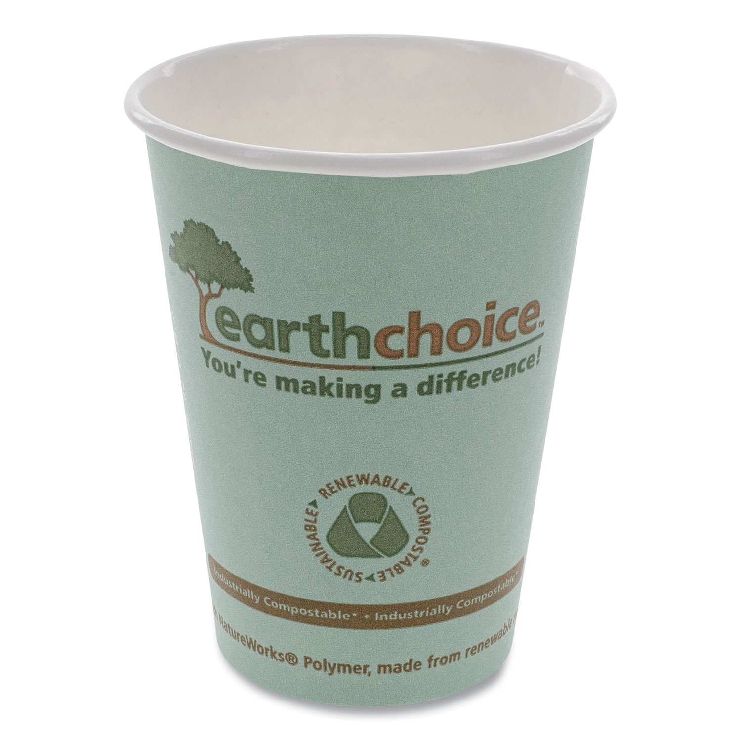  Pactiv DPHC12EC EarthChoice Hot Cups, 12 oz, Teal, 1,000/Carton (PCTDPHC12EC) 