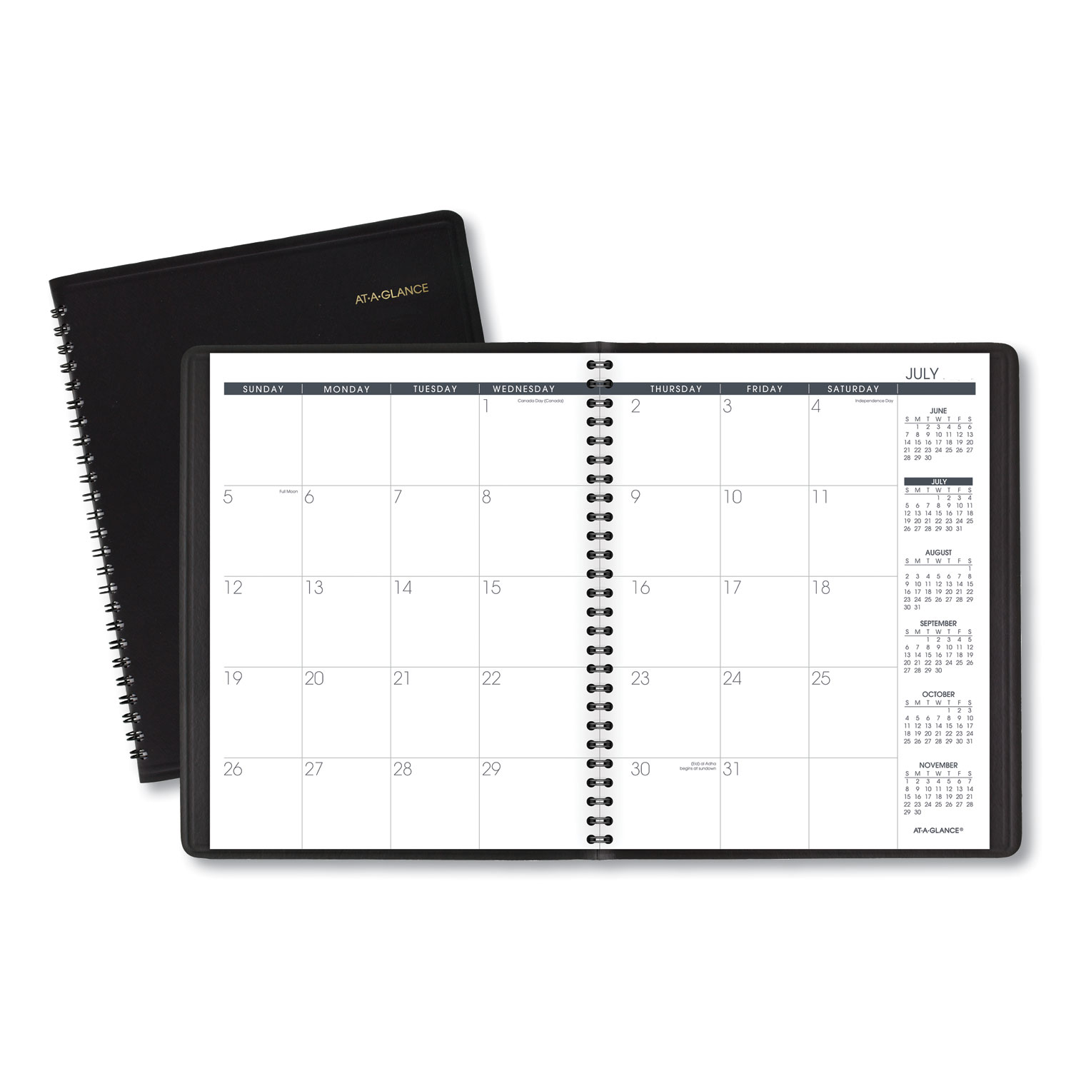 AT-A-GLANCE 7012705 Monthly Planner,8.75 x 7, Black, 2020-2021 (AAG7012705) 