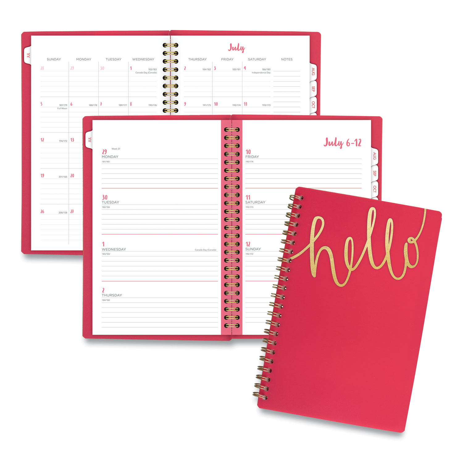  Cambridge 102220027 Aspire Weekly/Monthly Planner, 8 x 4 7/8, Coral, 2020 (AAG102220027) 