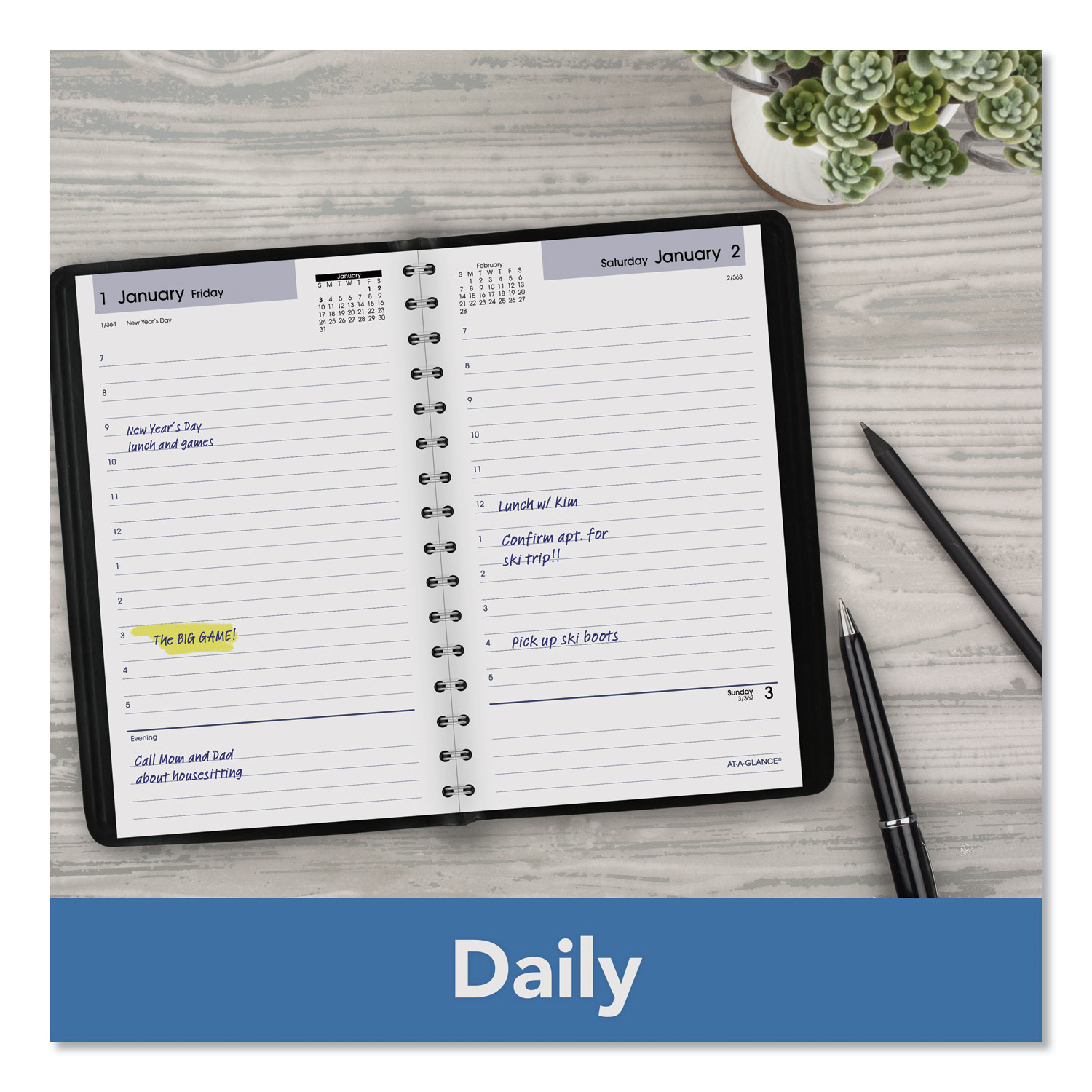 DayMinder Daily Appointment Book, 8 x 5, Black Cover, 12-Month