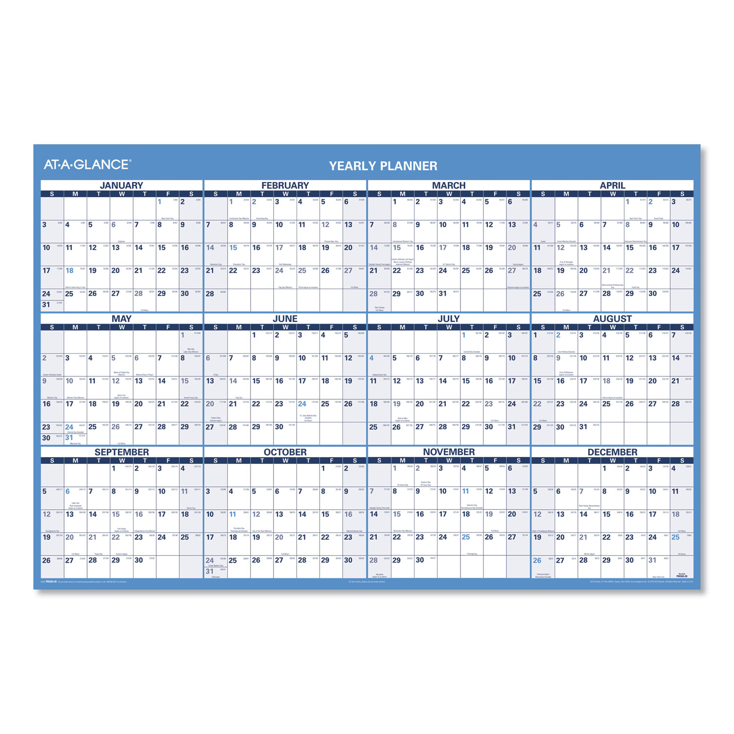  AT-A-GLANCE PM300-28 Horizontal Erasable Wall Planner, 48 x 32, Blue/White, 2020 (AAGPM30028) 