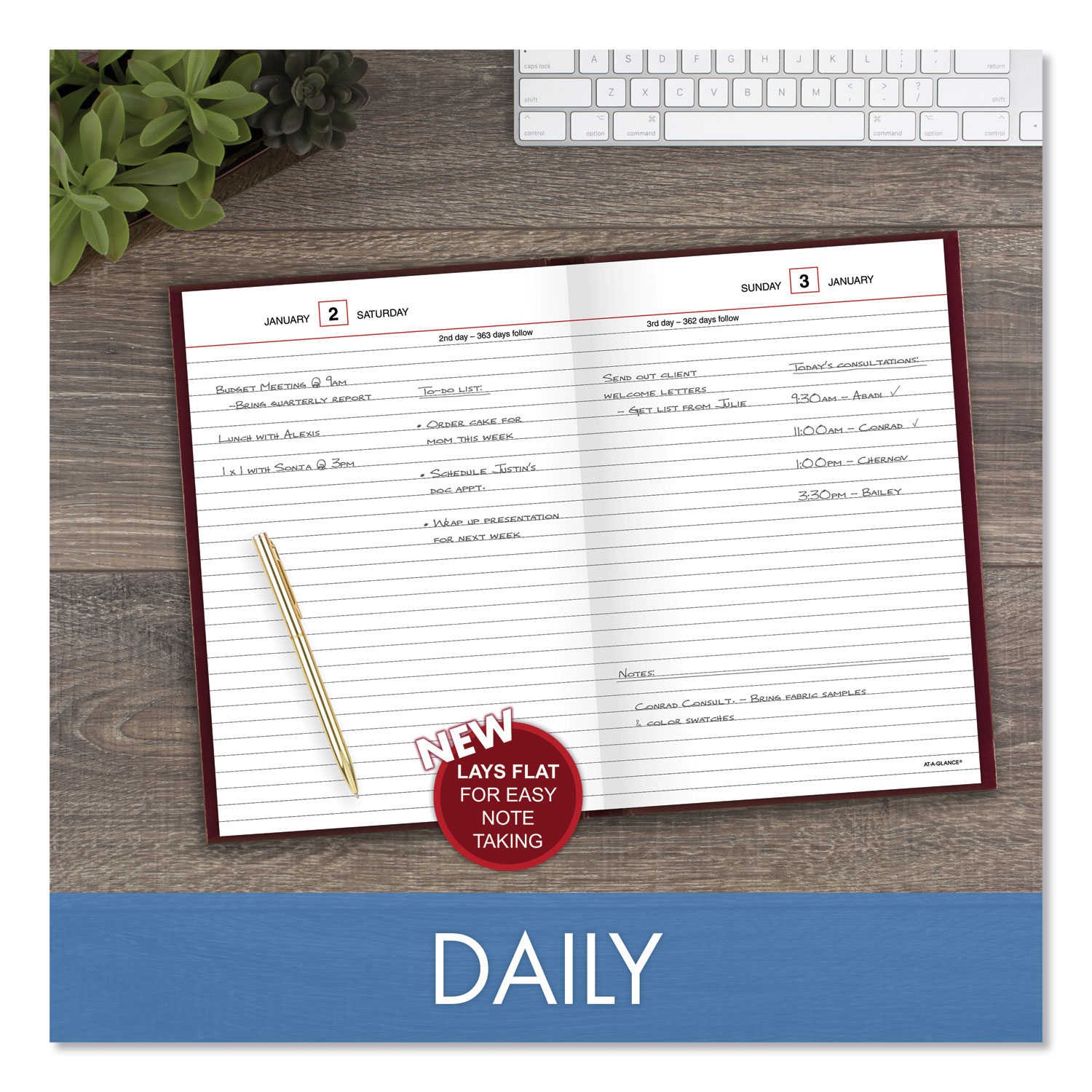 ATAGLANCE® Standard Diary Daily Reminder Book, 2024 Edition, Medium/College Rule, Red Cover