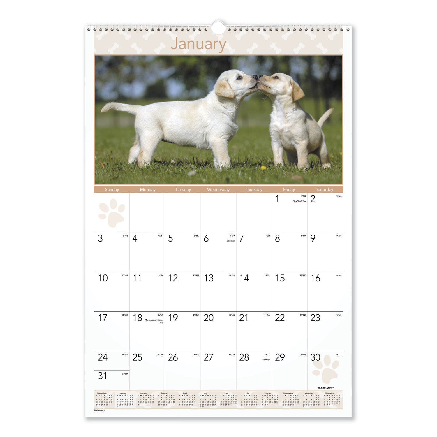  AT-A-GLANCE DMW16728 Puppies Monthly Wall Calendar, 15 1/2 x 22 3/4, 2020 (AAGDMW16728) 