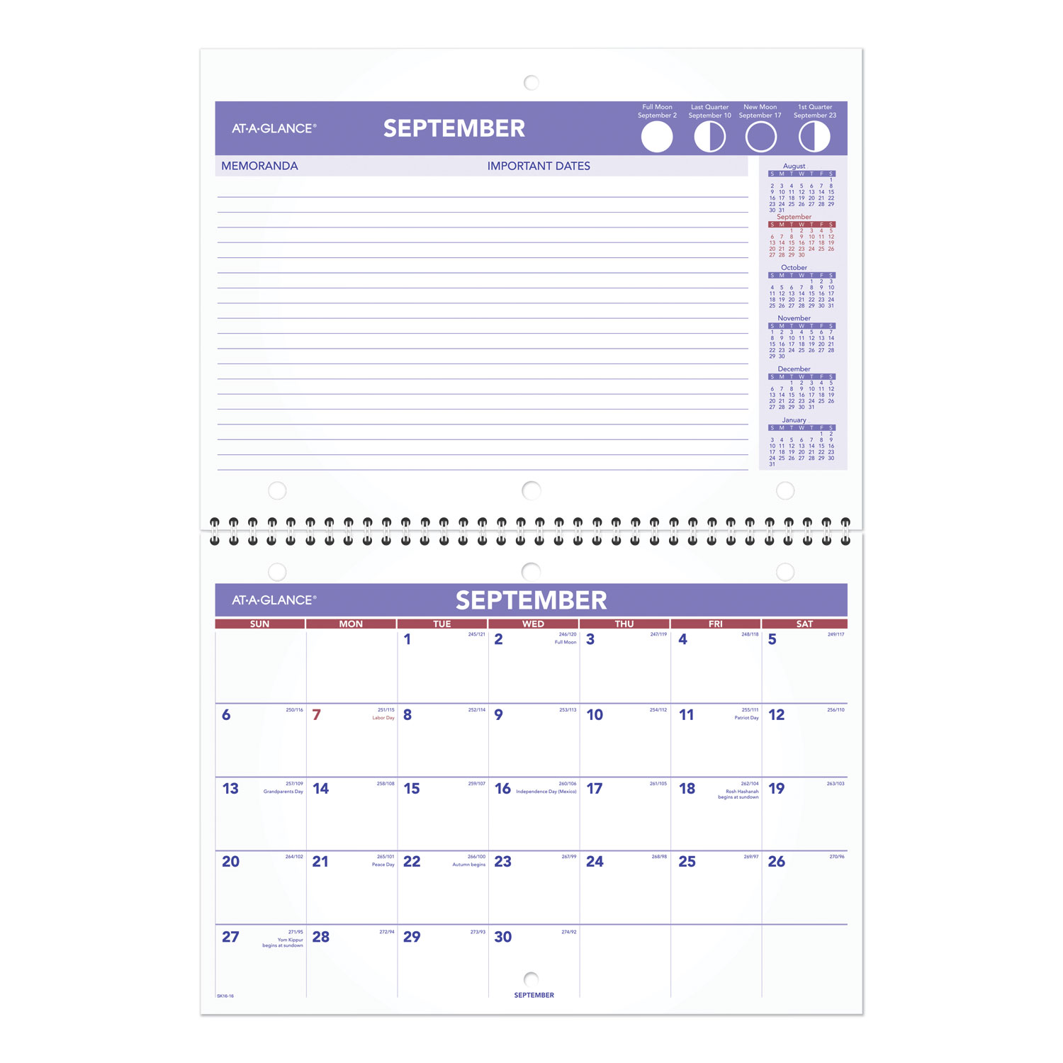  AT-A-GLANCE SK16-16 Wirebound Monthly Desk/Wall Calendar, 11 x 8, 2020-2021 (AAGSK1616) 
