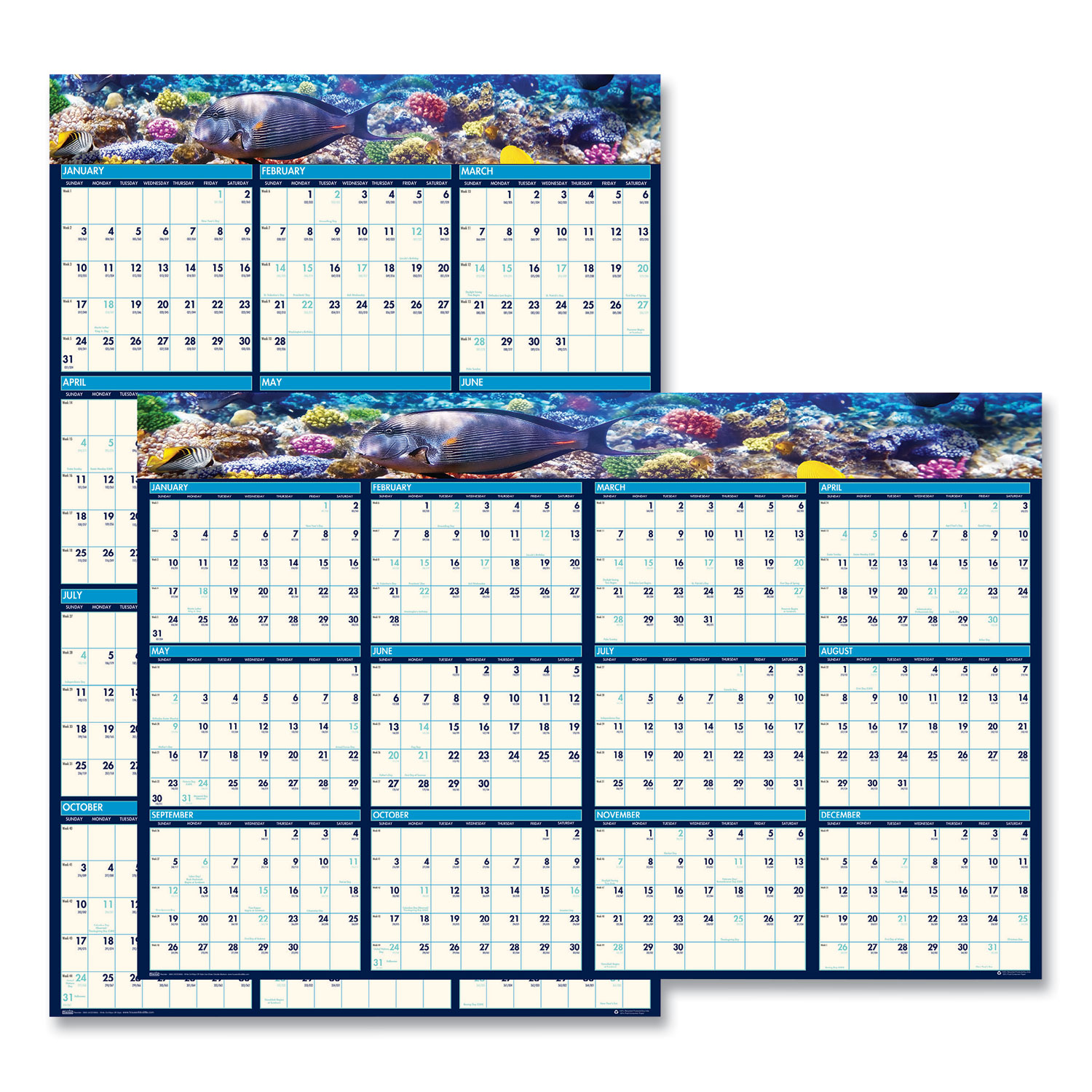  House of Doolittle 3969 Recycled Earthscapes Sea Life Scenes Reversible Wall Calendar, 24 x 37, 2020 (HOD3969) 