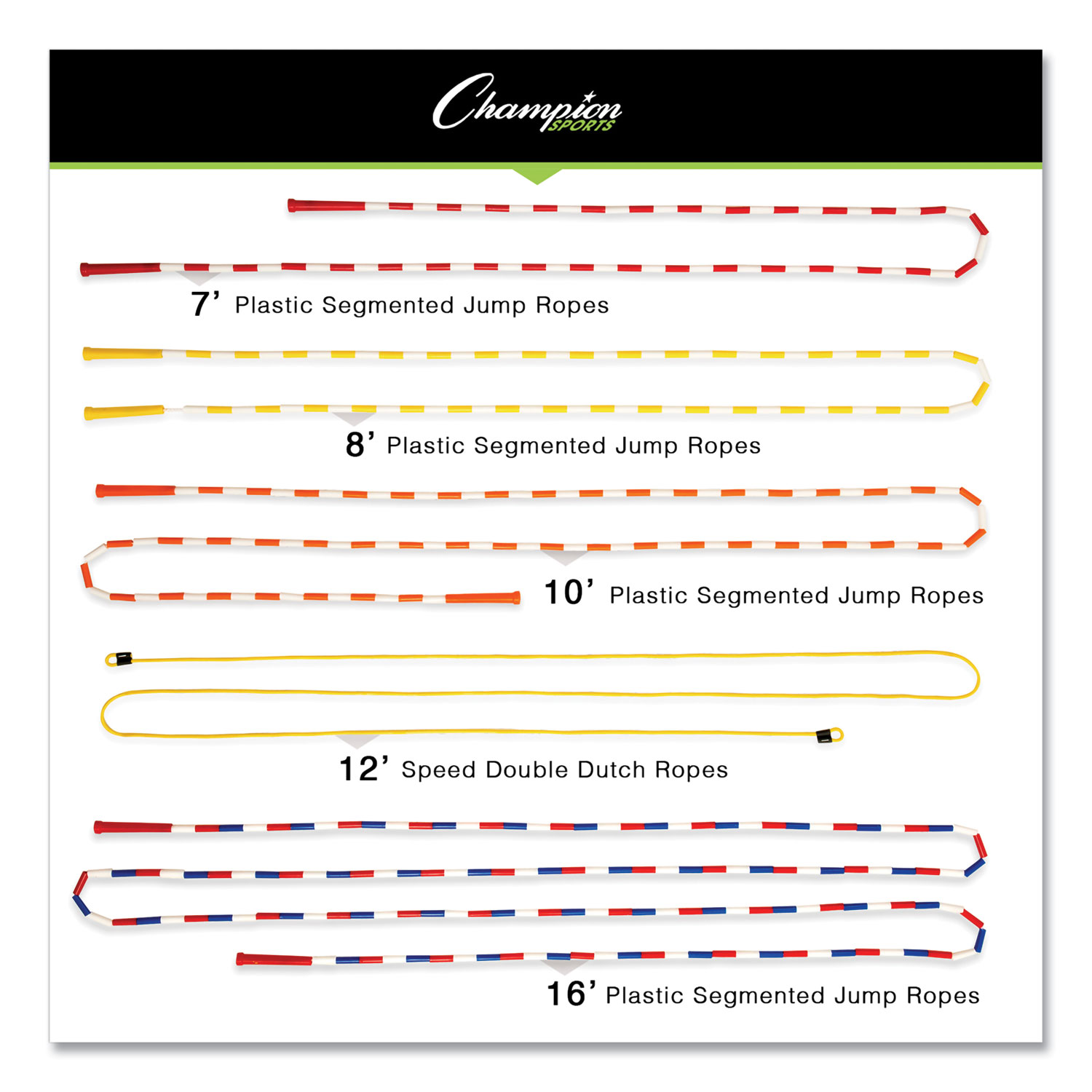 Champion Sports Physical Education Kit with 7 Balls, 14 Jump Ropes ...