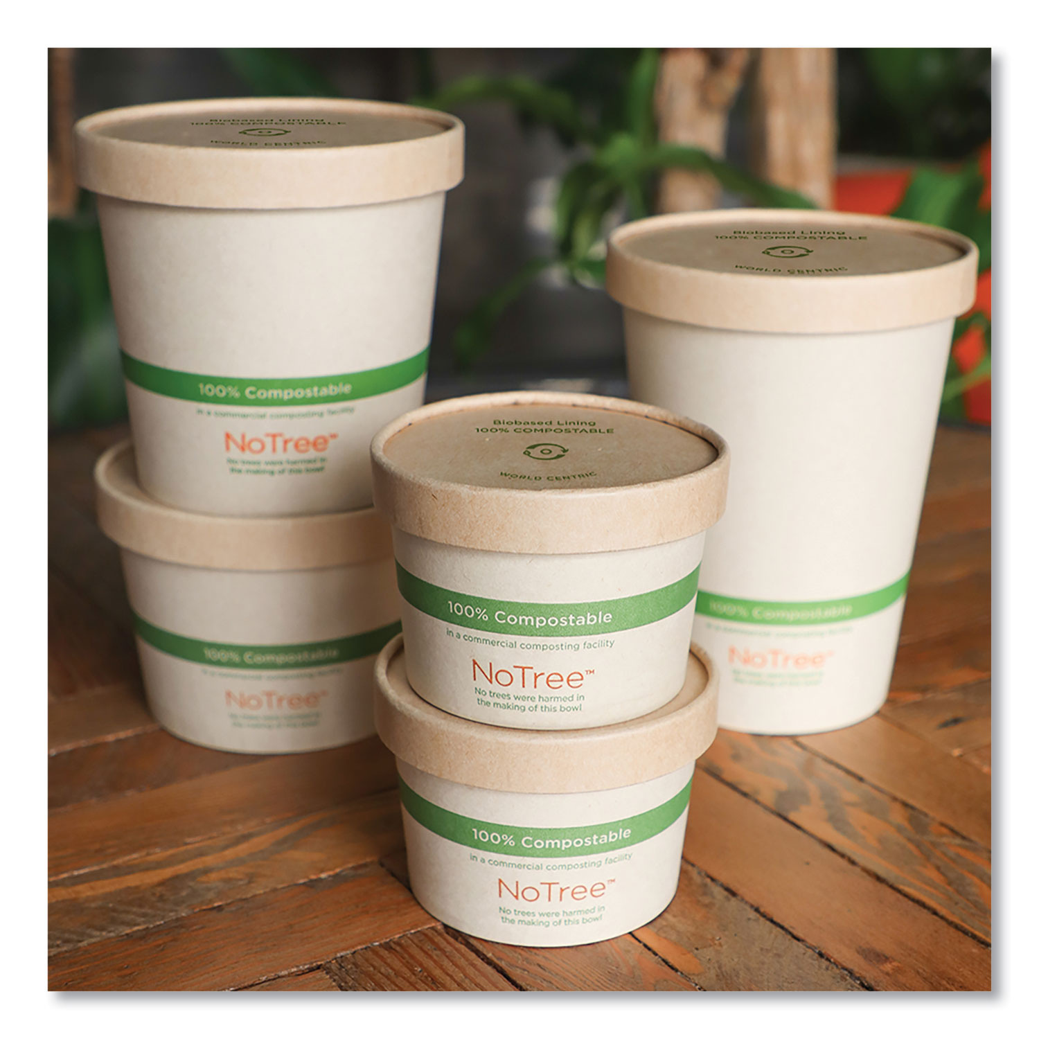 32 oz Compostable Containers with Lids, 5 count, World Centric