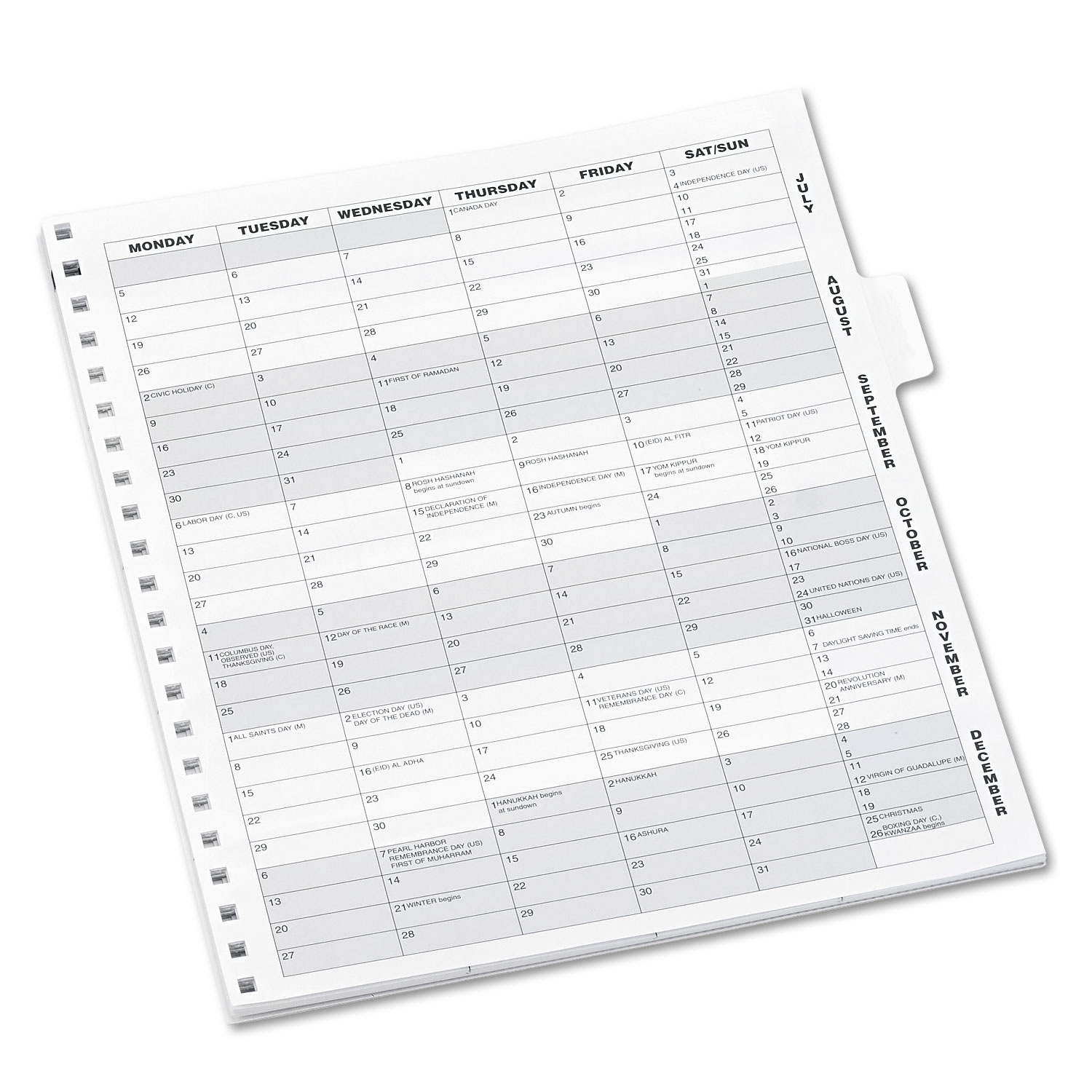 Monthly Planner Refill, 9 x 11, White, 2020