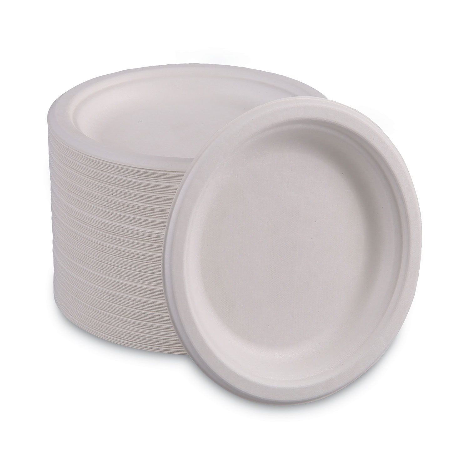 Boardwalk White Plastic Dinnerware Plate Case