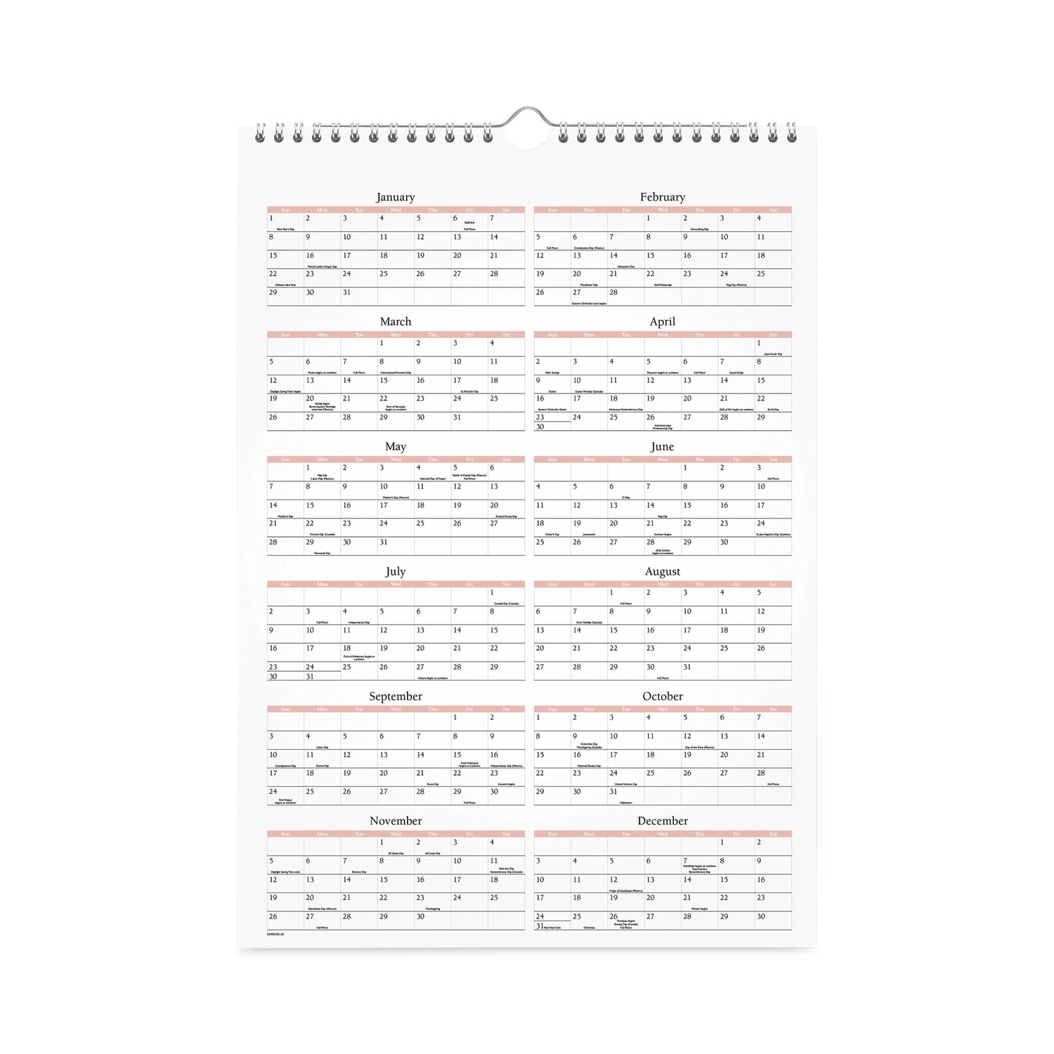 At-A-Glance Scenic Monthly Wall Calendar 12 x 17 2020 DMW20028 