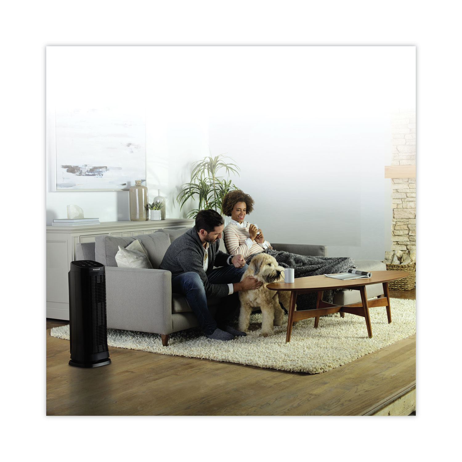 AirGenius 5 Air Purifier, 250 sq ft Room Capacity, Black Reparto