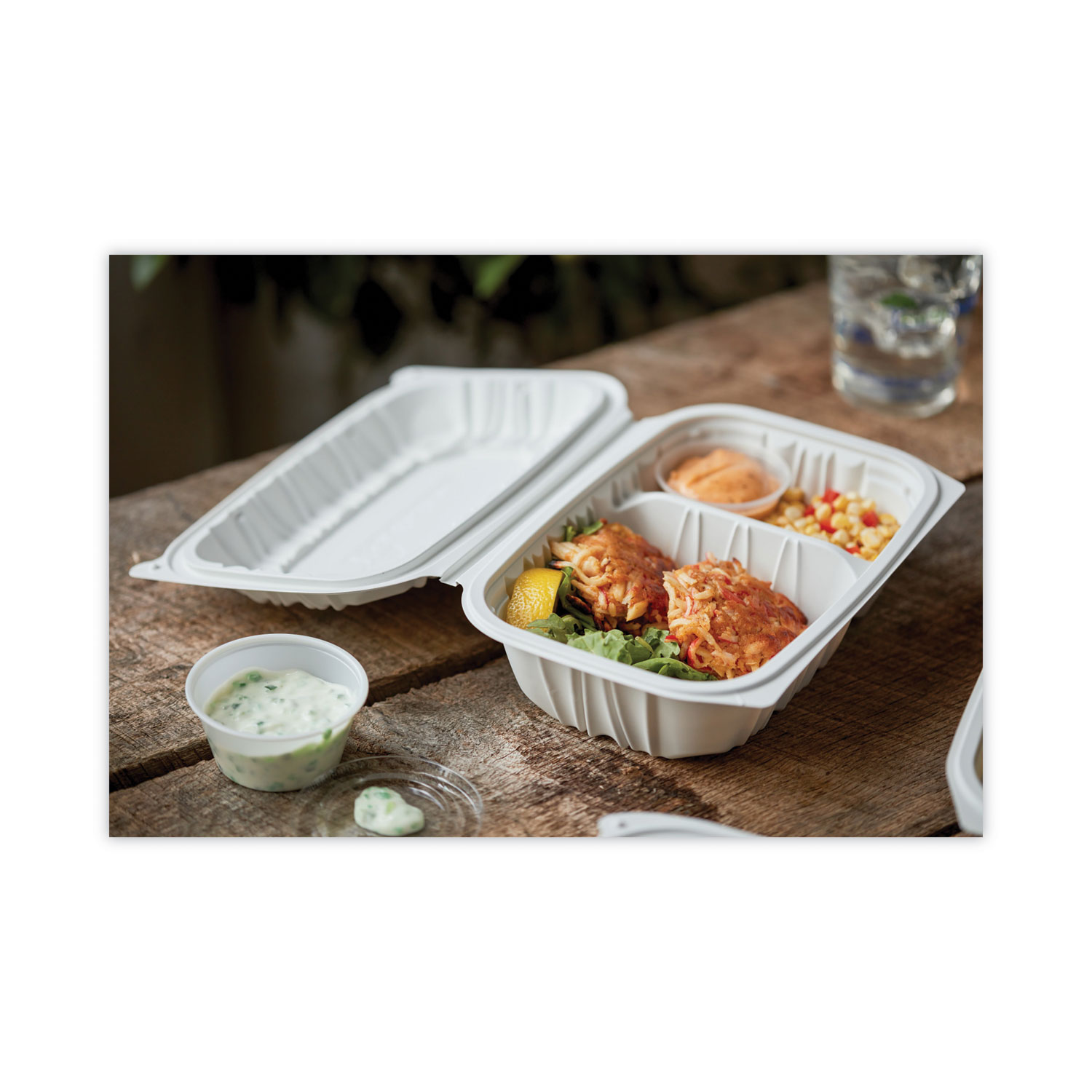 EarthChoice Vented Microwavable MFPP Hinged Lid Container, 2-Compartment, 9  x 6 x 3.1, White, Plastic, 170/Carton