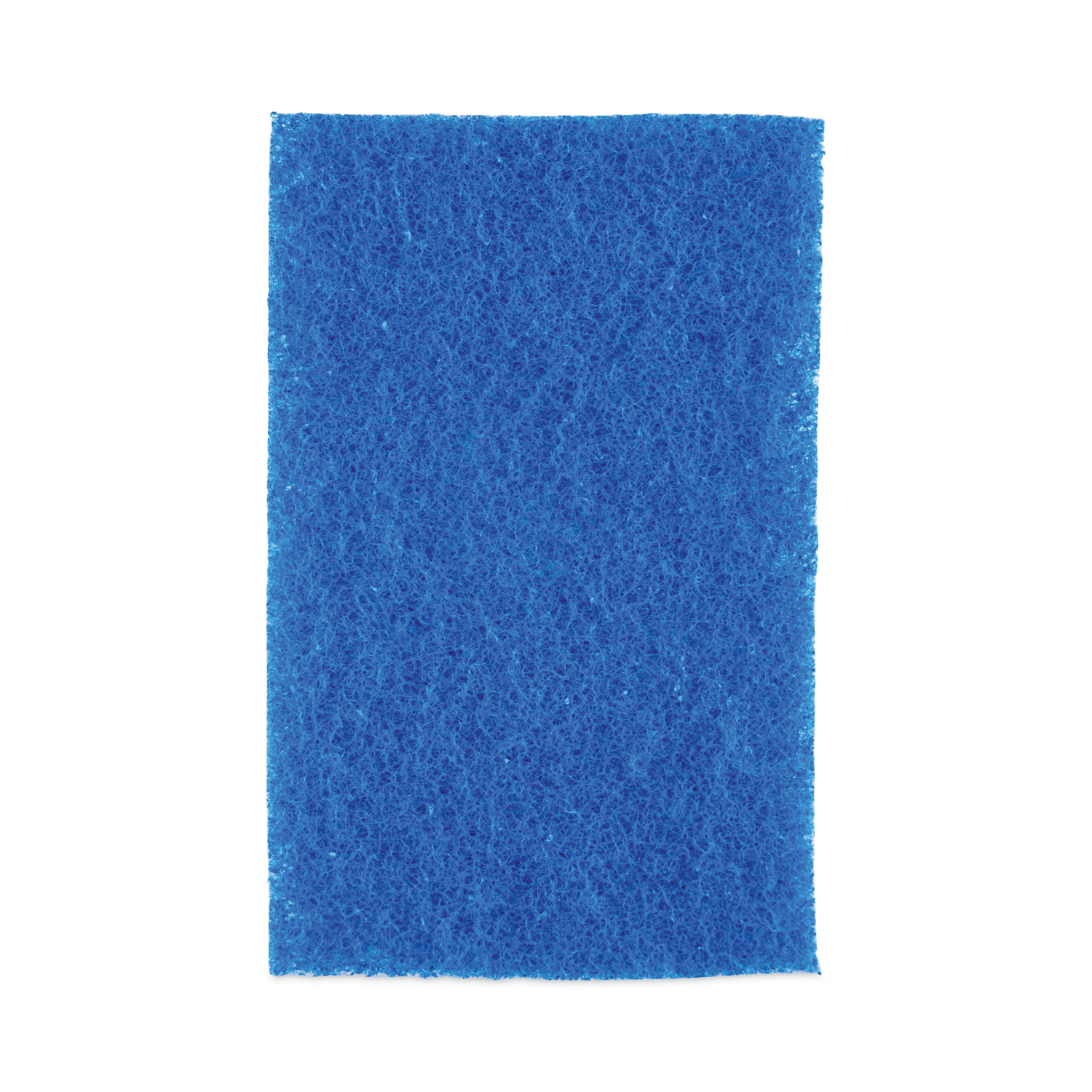 Scotch-Brite No Scratch Scour Pad,6 in L,Blue,PK10 622-10