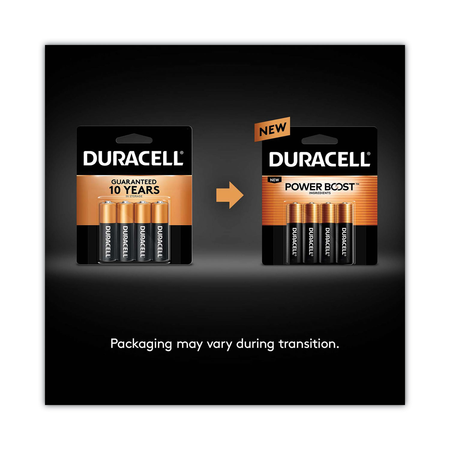 Duracell® Power Boost CopperTop Alkaline AA Batteries, 2/Pack J & P