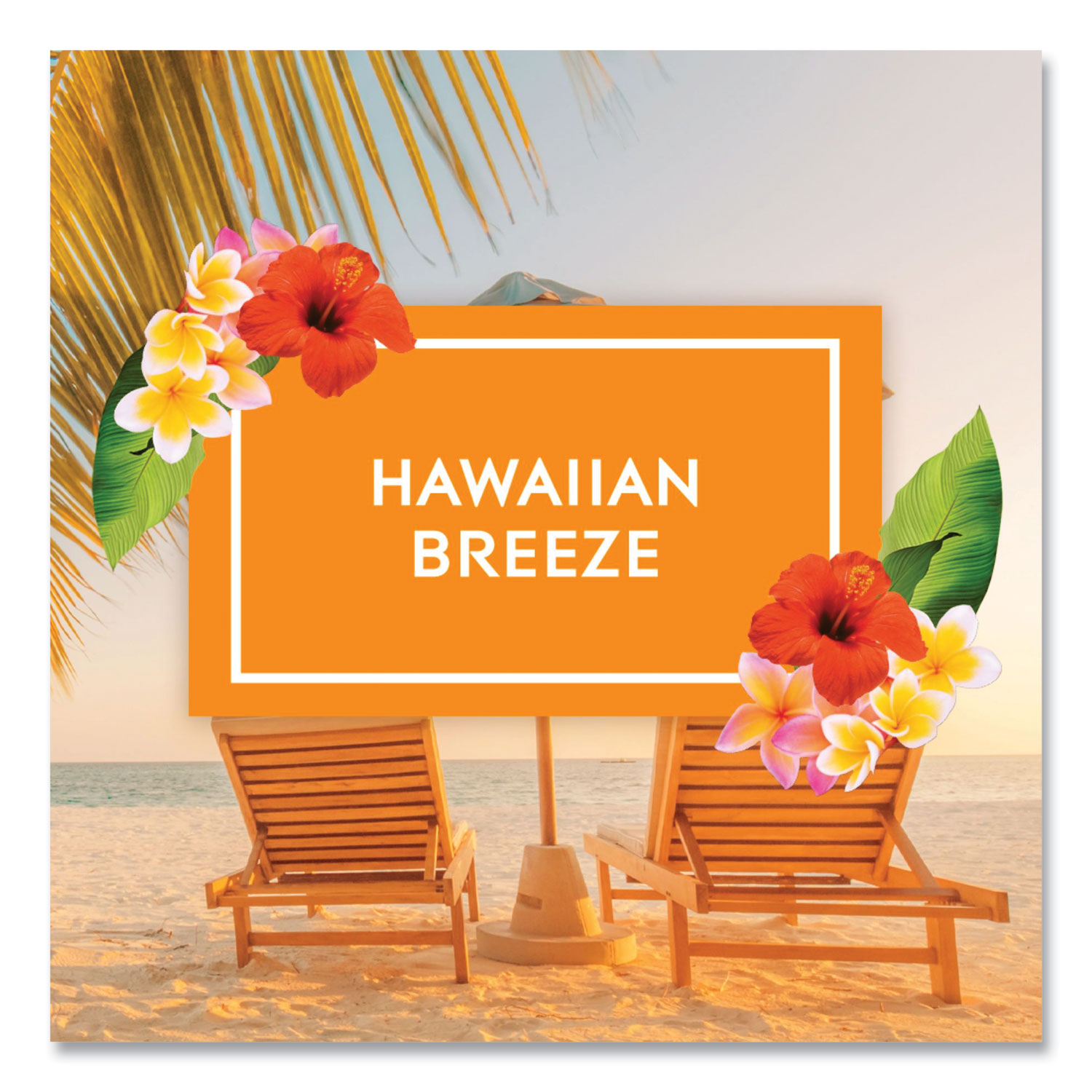 Plugin Scented Oil, Hawaiian Breeze, 0.67 oz, 2 Warmers and 6 Refills/Pack  - Office Express Office Products
