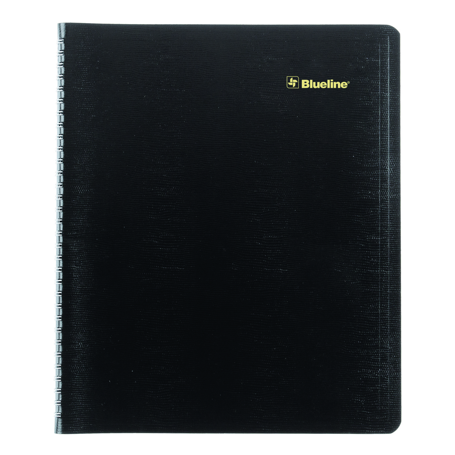 Plan and Link Monthly Planner, 11″ x 9.06″, Black Cover, 16-Months: Sept 2024 to Dec 2025