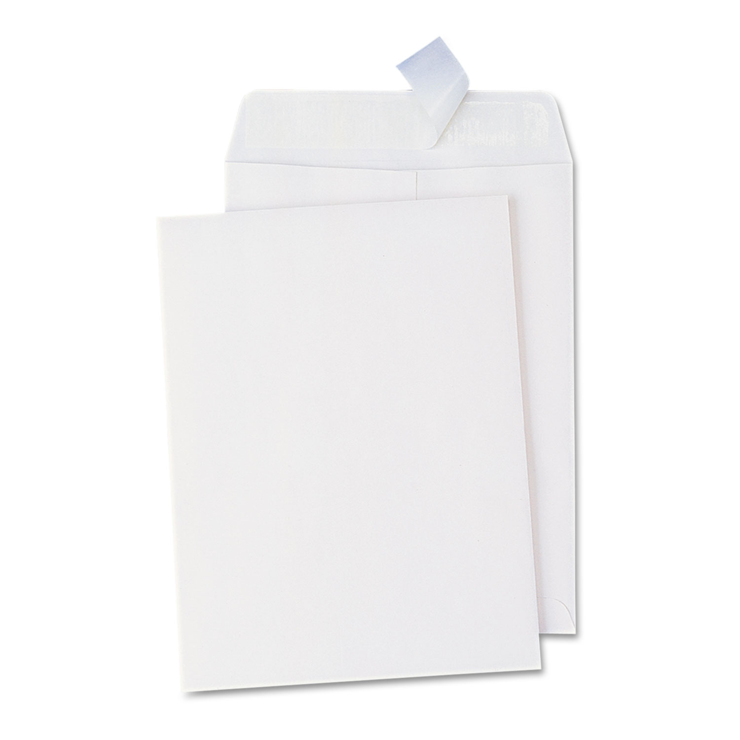 Peel Seal Strip Catalog Envelope, 10 x 13, White, 100/Box