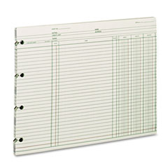 Wilson Jones® Accounting Sheets, 9.25 x 11.88, Green, Loose Sheet, 100/Pack