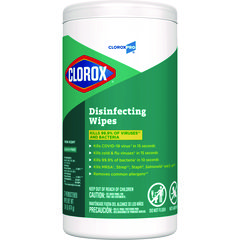 Disinfecting Wipes, 1-Ply, 7 x 8, Fresh Scent, White, 75/Canister