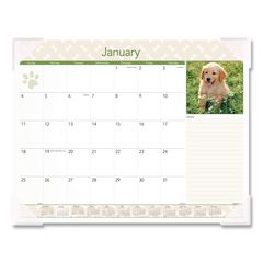 Product image for AAGDMD16632
