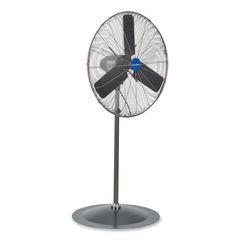 Oscillating Pedestal Fan, 30", 3-Speed, Gray GBE585280