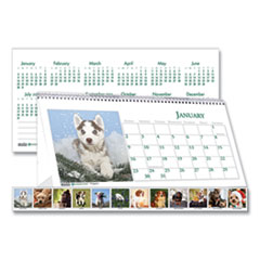 House of Doolittle™ Earthscapes Recycled Desk Tent Monthly Calendar, Puppies Photography, 8.5 x 4.5, White/Multicolor Sheets, 2022
