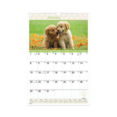 AT-A-GLANCE® Puppies Monthly Wall Calendar, Puppies Photography, 15.5 x 22.75, White/Multicolor Sheets, 12-Month (Jan to Dec): 2023