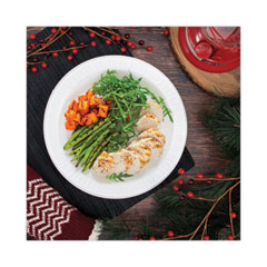 Pactiv Evergreen Placesetter Satin Non-Laminated Foam Dinnerware, Oval  Platter, 11.5 x 8.5, White, 500/Carton
